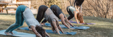 Federleicht Leben — yoga-studio i Kronberg im Taunus — 2