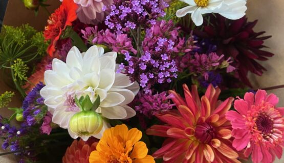 Bunte Sommerblumen auf einem Blumenfeld in Bad Homburg – Yoga Day Retreat mit Meditation, Breathwork und Blumenpflücken