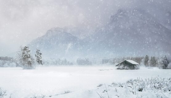 Yoga Retreat Frankfurt im Januar 2026 mit Meditation, Yin Yoga und Visionboard für Klarheit, Selbstliebe und Neuanfang – geleitet von Elena Dorner, Federleicht Leben.